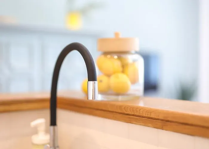 Feria 1 אופטיה